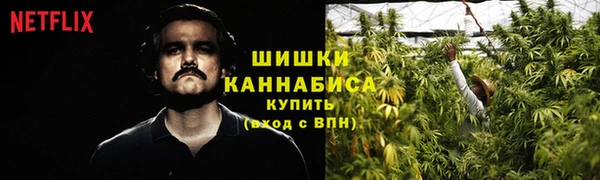 шишки Красноперекопск