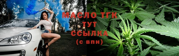соль ск Краснослободск