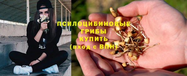 шишки Красноперекопск