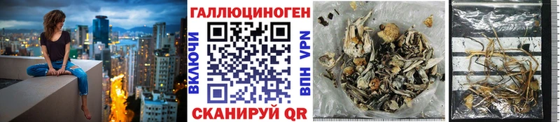 Галлюциногенные грибы MAGIC MUSHROOMS  hydra сайт  Нововоронеж 
